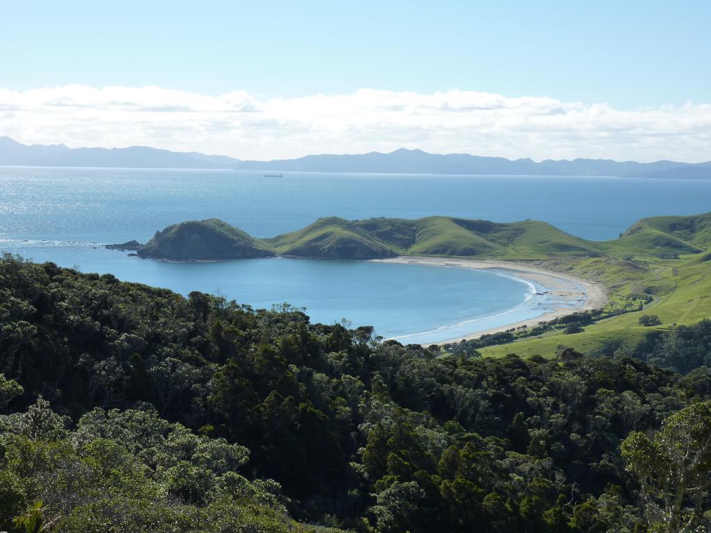 The Green House B&B Whitianga Buitenkant foto