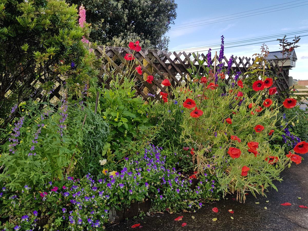 The Green House B&B Whitianga Buitenkant foto