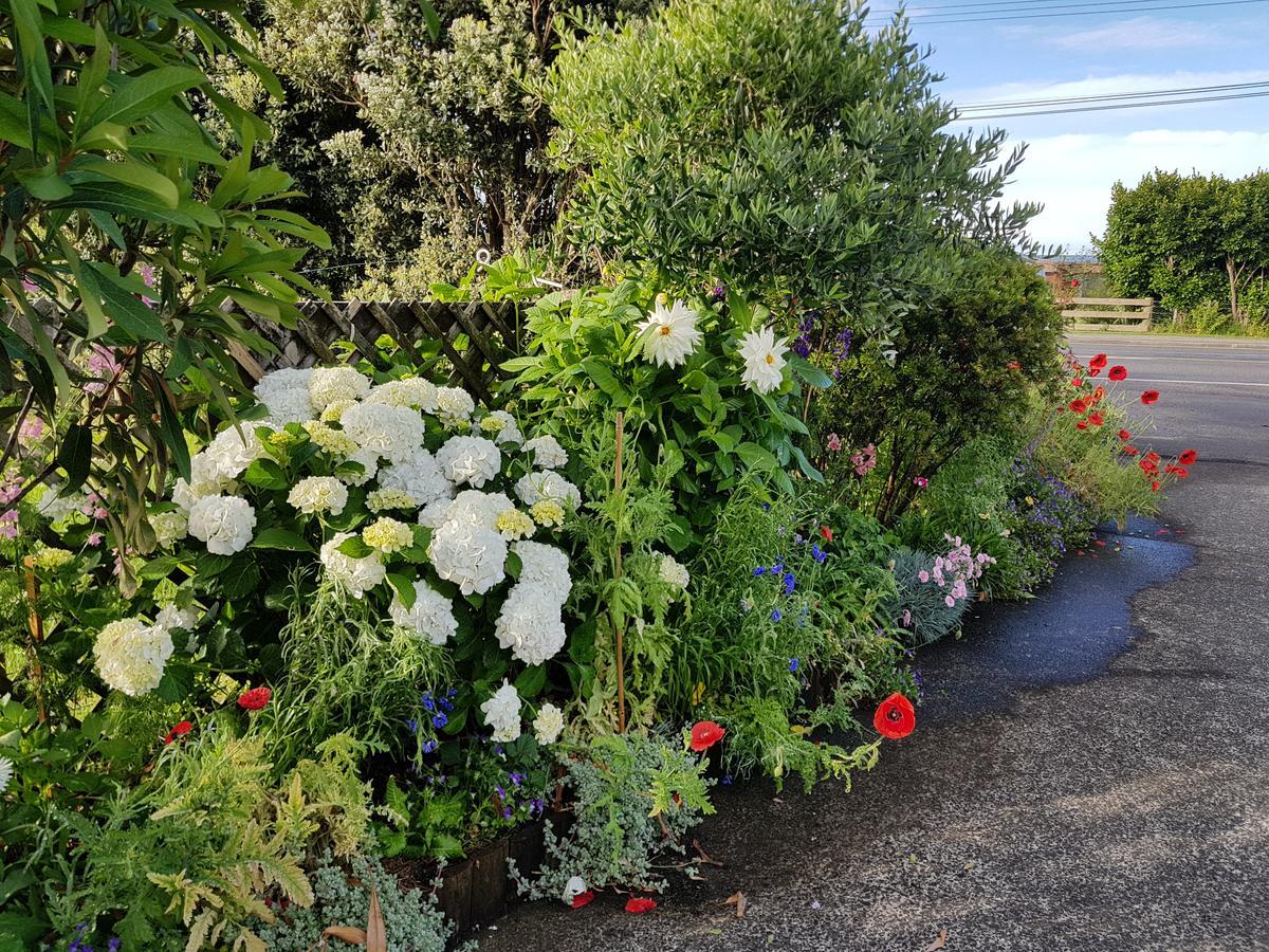 The Green House B&B Whitianga Buitenkant foto